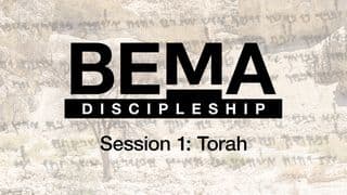The BEMA Podcast: Session 1