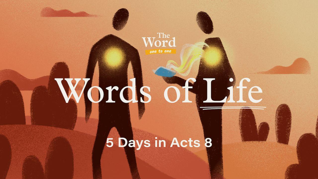 Words of Life: 5 Days in Acts 8