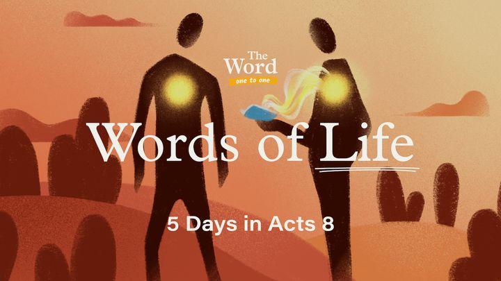 Words of Life: 5 Days in Acts 8