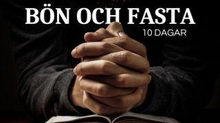 10 dagar bön och fasta San Mateo 6:33 Mixtec, Tezoatlán