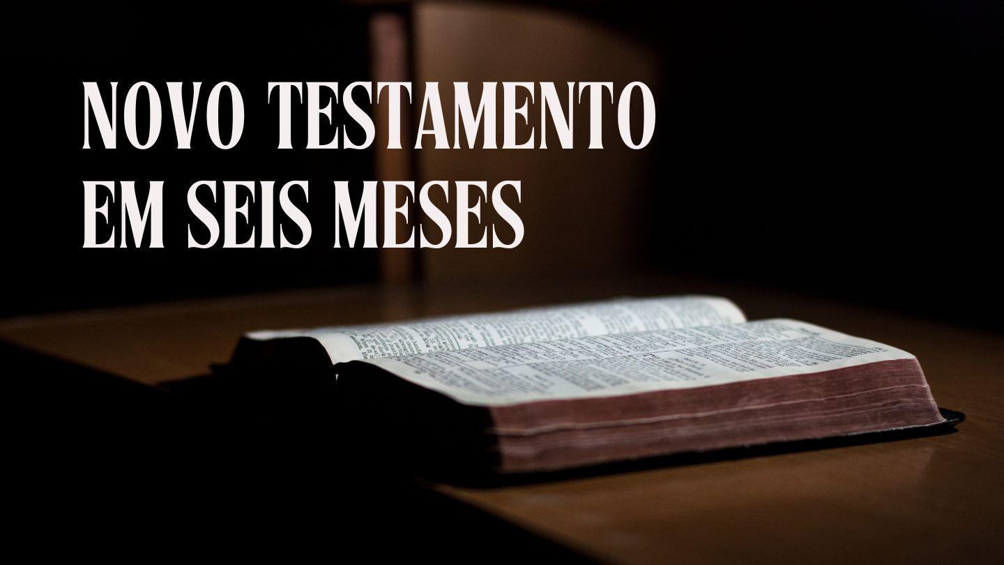 Novo Testamento em 6 meses