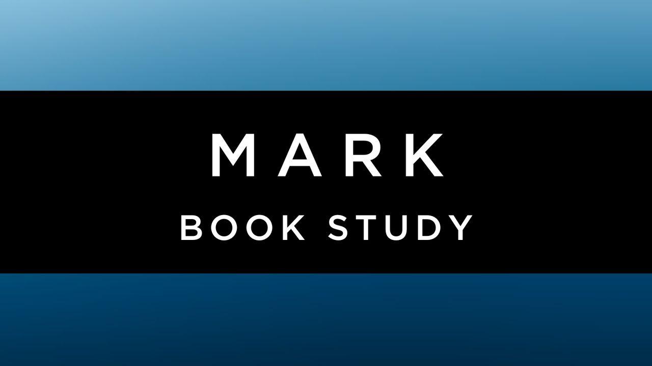Mark Book Study - the Story