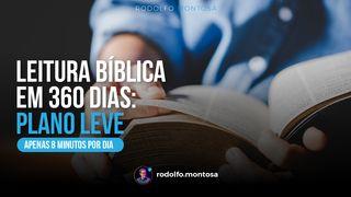 Leitura Bíblica Em 360 Dias: PLANO LEVE