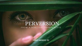 Perversion From a Biblical Perspective Epesas 5:11 God Vonana Vovokaravina