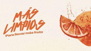 Más Limpios | Para Llevar Más Fruto Daniel 10:1-14 Traducción en Lenguaje Actual