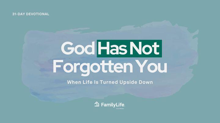 God Has Not Forgotten You: When Life Is Turned Upside Down