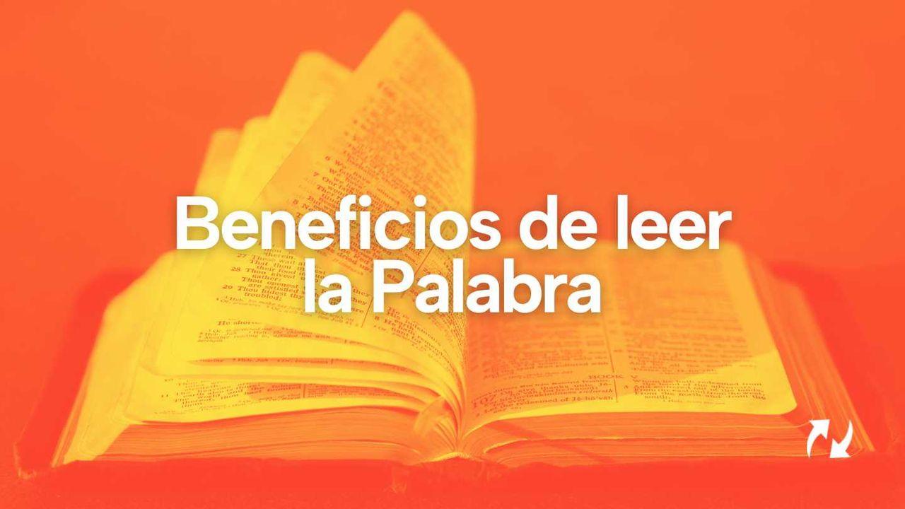 Beneficios De Leer La Palabra