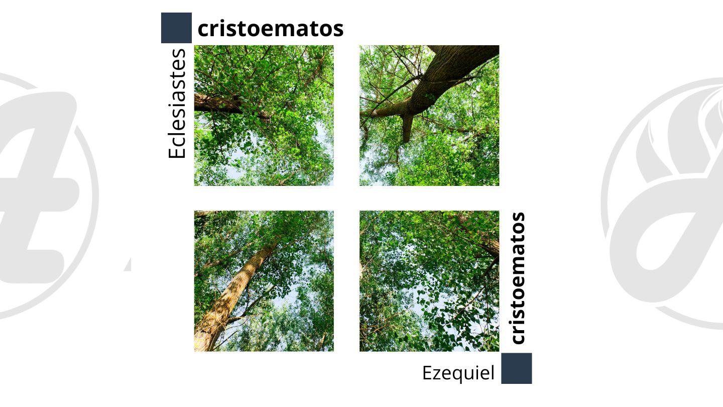Eclesiastes À Ezequiel