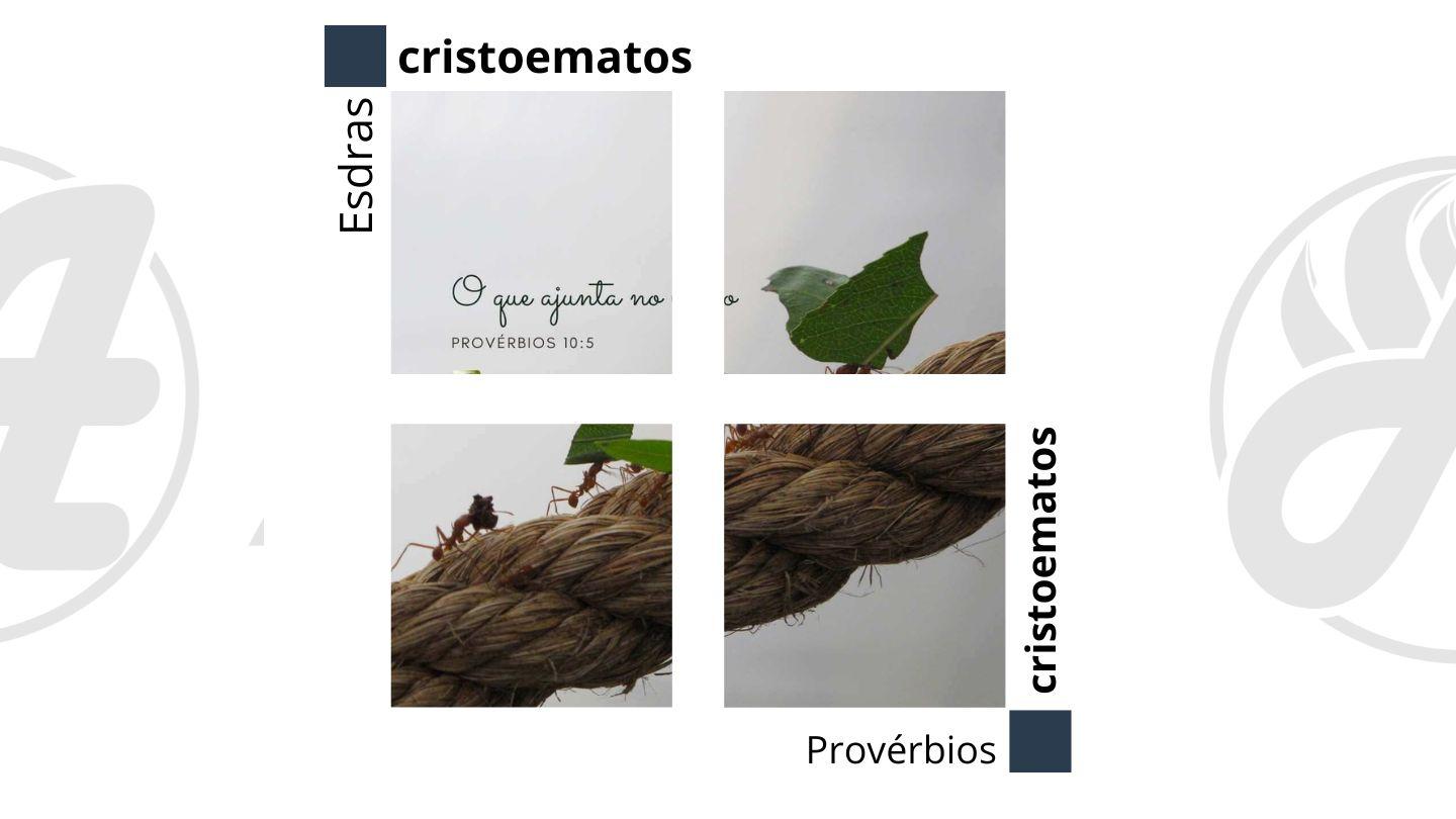 Esdras À Provérbios