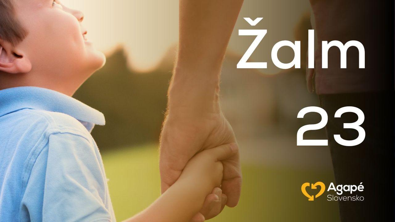 Žalm 23