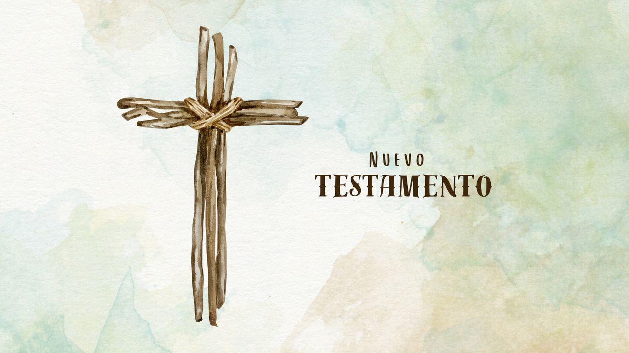 Nuevo Testamento en Un Año
