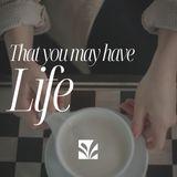 That You May Have Life: A Study of Jesus's 7 "I AM" Statements in the Gospel of John