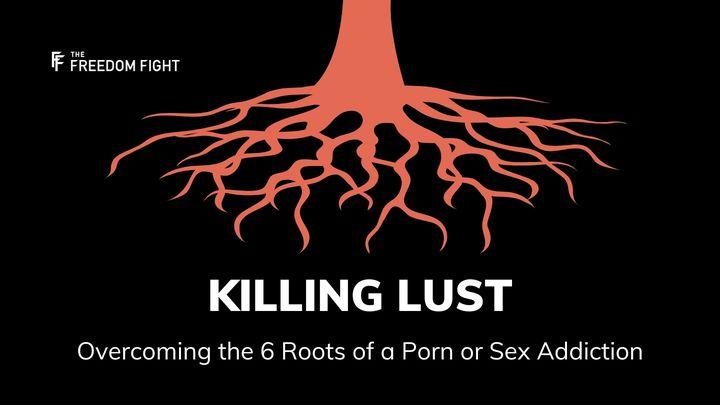Killing Lust: Overcoming the 6 Roots of a Porn or Sex Addiction