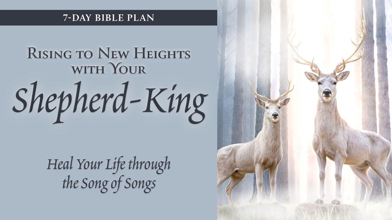 Rising to New Heights With Your Shepherd-King 7-Day Plan