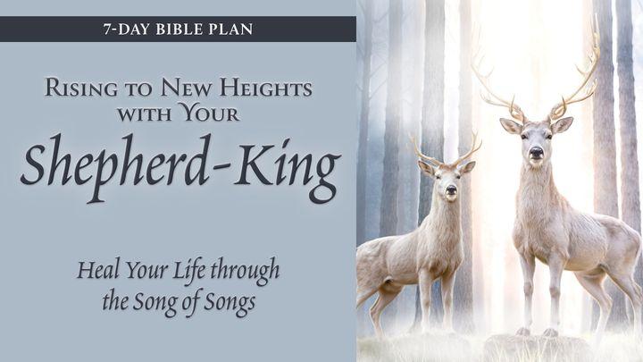 Rising to New Heights With Your Shepherd-King 7-Day Plan