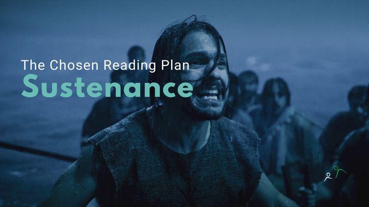 Sustenance (S3-E8)