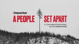 A People Set Apart 哥林多前書 3:4-13 新標點和合本, 神版