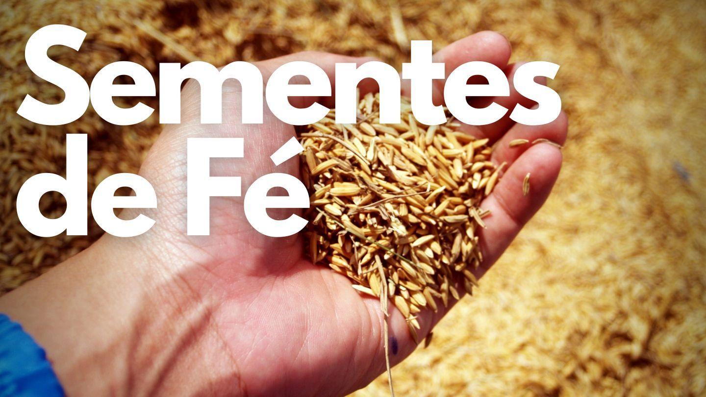 Sementes De Fé Salmos 119:11-15 Nova Versão Internacional - Português