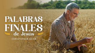 Palabras Finales De Jesús
