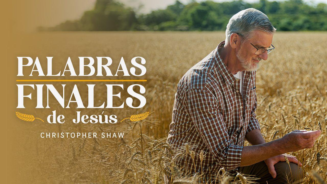 Palabras Finales De Jesús