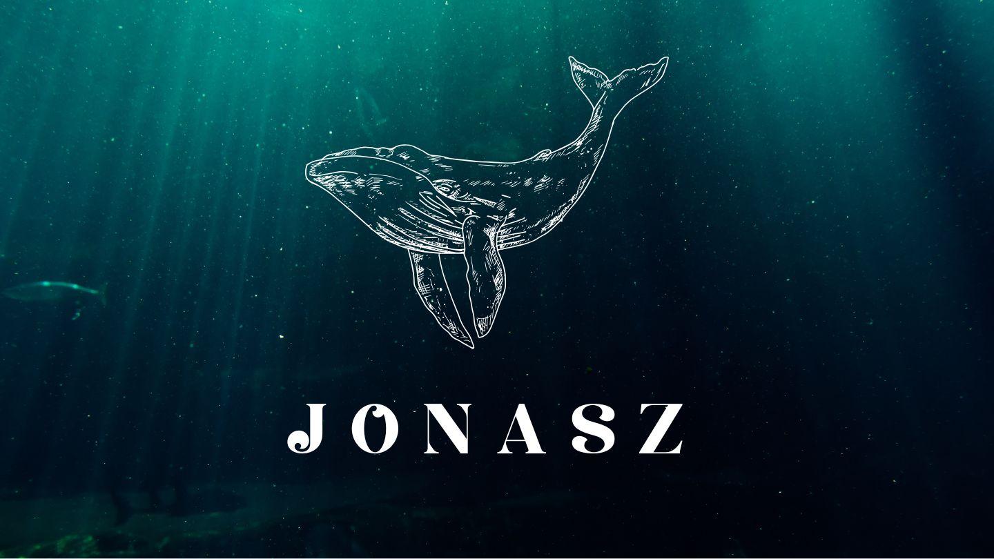 Jonasz. Najoporniejszy prorok Boży 約翰傳福音書 1:3-4 裨治文－克陛存文理《新約全書》和《舊約全書》