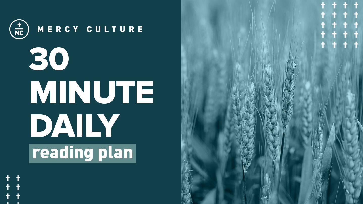 30 Minute Daily Reading Plan