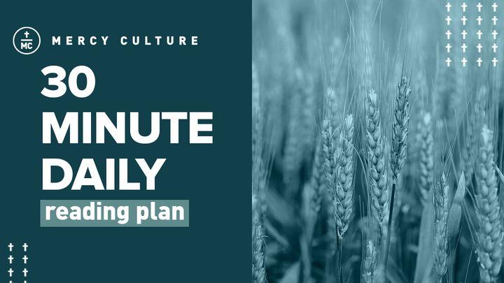30 Minute Daily Reading Plan