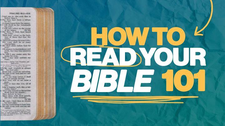 How to Read Your Bible 101