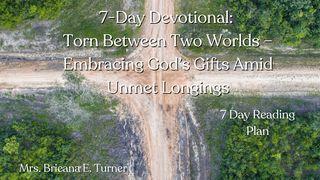 7-Day Devotional: Torn Between Two Worlds – Embracing God’s Gifts Amid Unmet Longings 2 Corinthians 5:1-11 New International Version