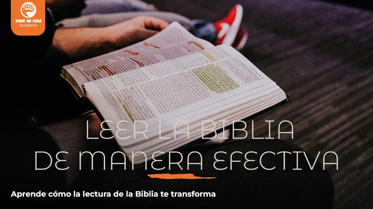 Leer La Biblia De Manera Efectiva