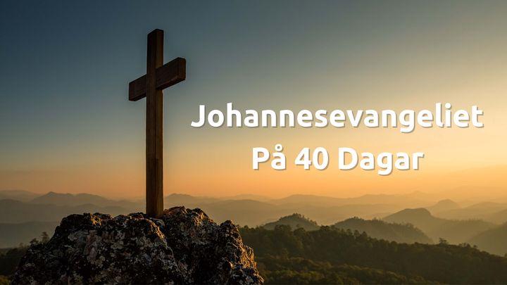 Johannesevangeliet På 40 Dagar