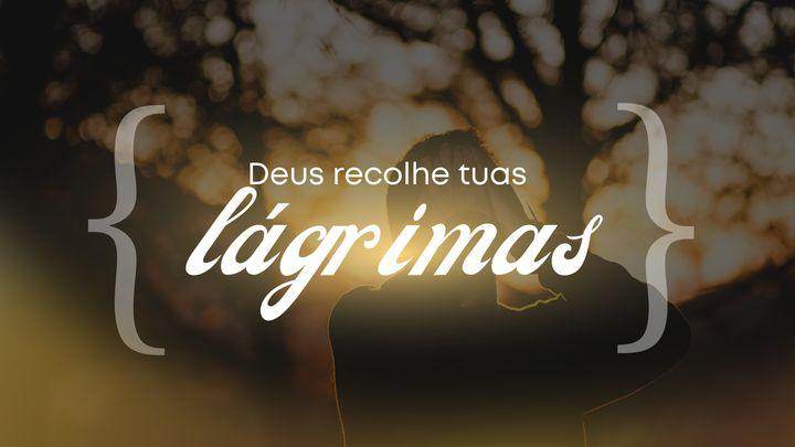Deus Recolhe Tuas Lágrimas