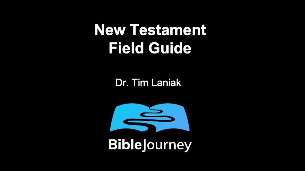 New Testament Field Guide