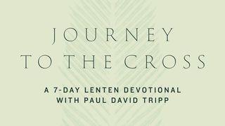 Journey to the Cross: A 7-Day Lenten Devotional With Paul David Tripp Psalms 130:3-5 Amplified Bible