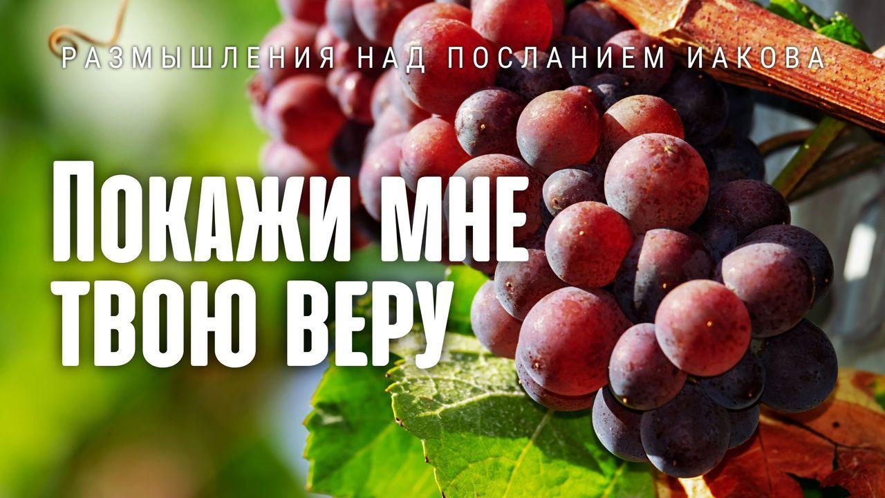 Покажи мне твою ВЕРУ. Размышления над посланием Иакова