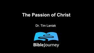 The Passion of Christ Mark 14:12-17 New International Version