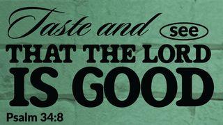 Taste and See