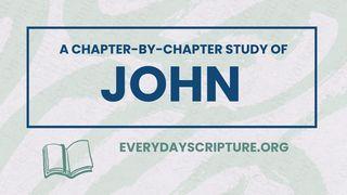 John | Reading Plan + Study Questions