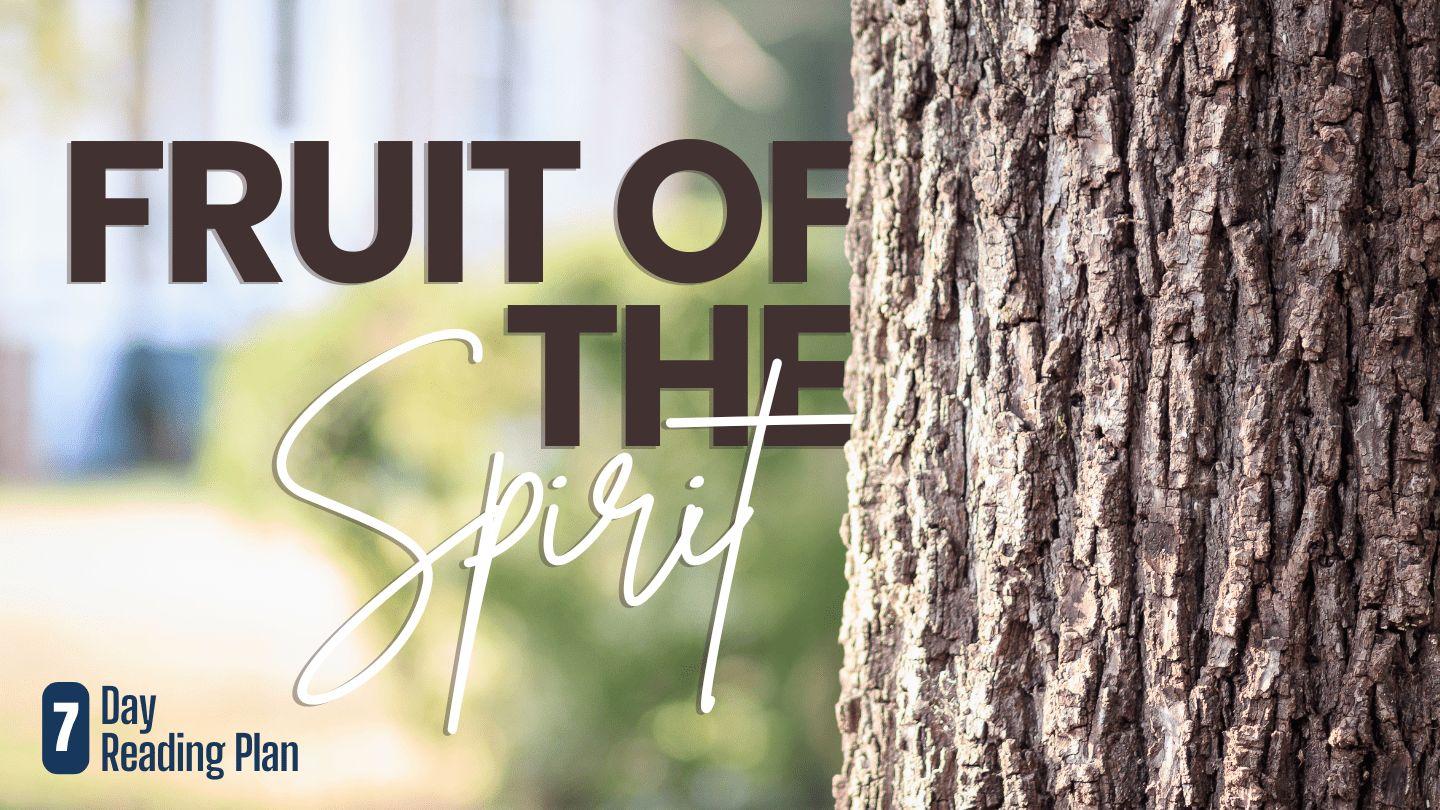 Fruit of the Spirit Filipským 1:6 Český studijní překlad