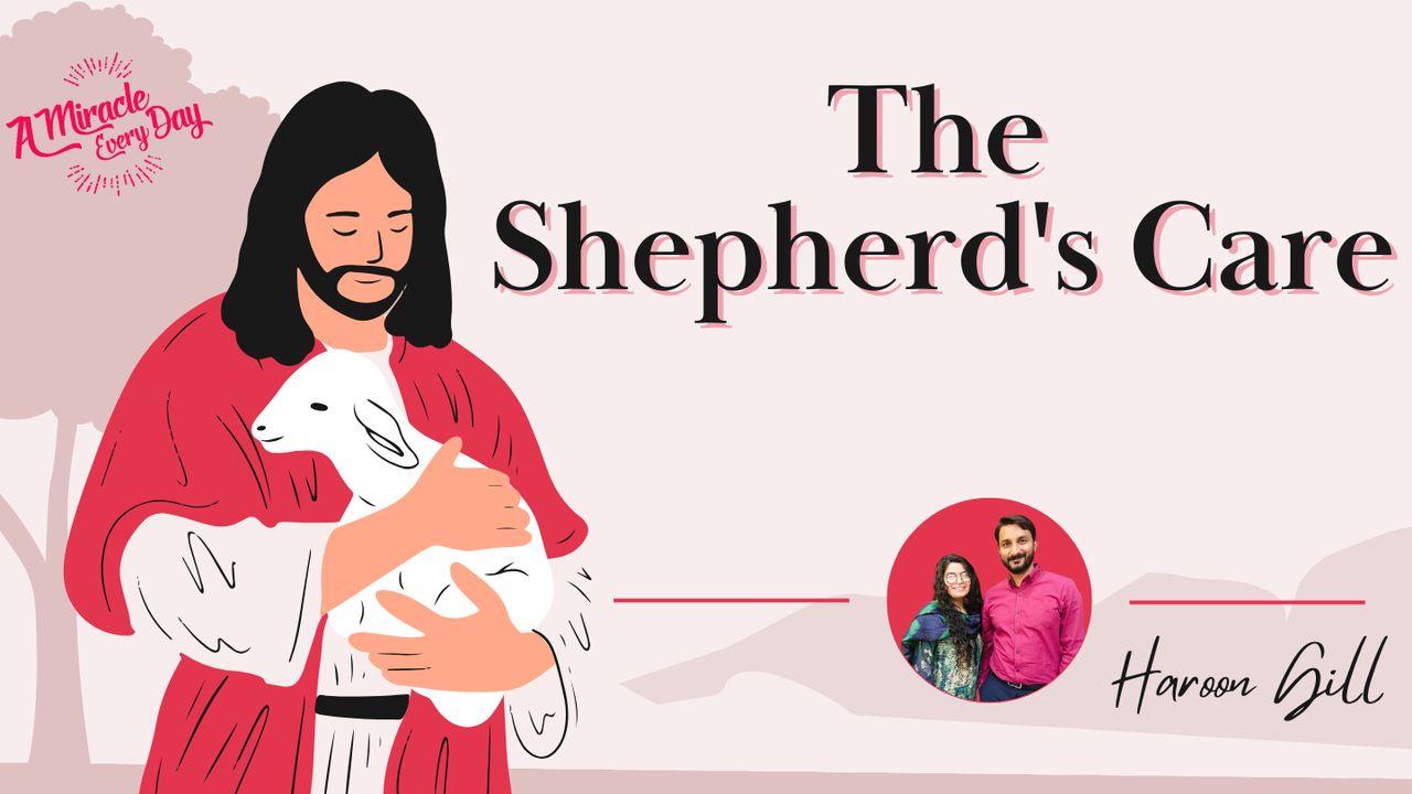 The Shepherd's Care