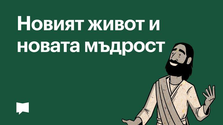 BibleProject | Новият живот и новата мъдрост