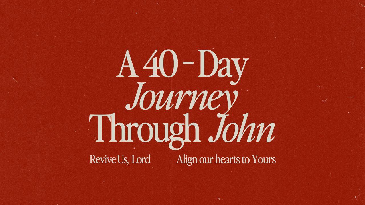 Revive Us, Lord: A 40-Day Journey Through the Gospel of John