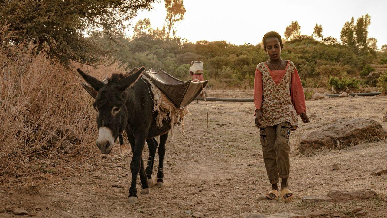 Bij de bron: water voor de wereld en leven uit Gods genade