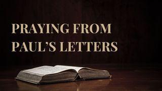 Praying From Paul's Letters Filemon 1:8-22 Perjanjian Baru Terjemahan Baru Edisi 2