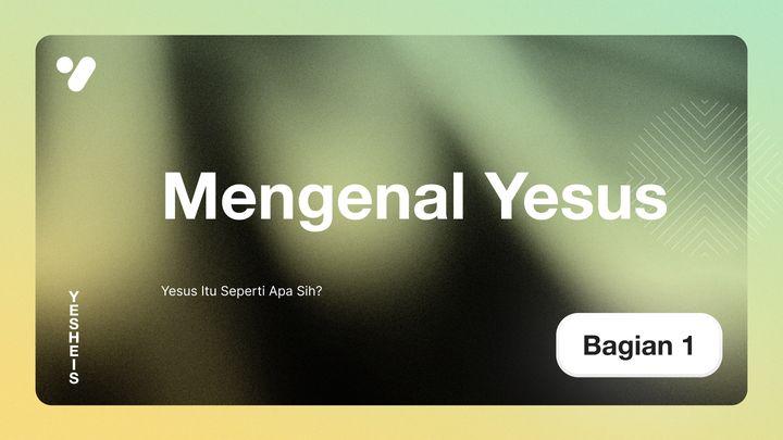 Yesus Itu Seperti Apa Sih?
