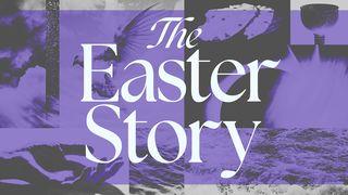 The Easter Story マタイの福音書 21:12, 13, 14, 15, 16, 17, 18, 19, 20, 22 リビングバイブル