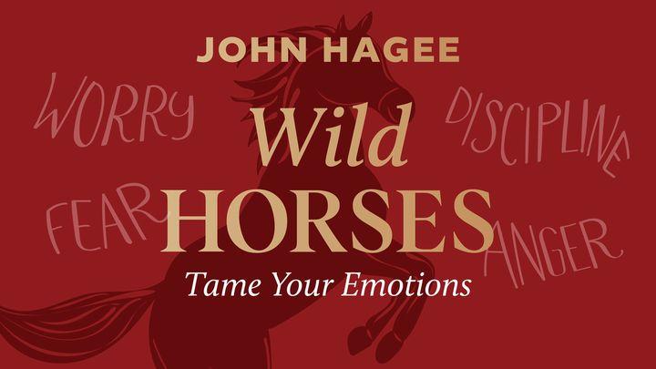Wild Horses: Tame Your Emotions