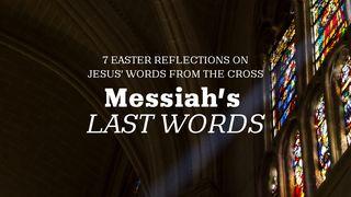 Messiah's Last Words ዮሃንስ 19:33-34 መፅሓፍ ቅዱስ