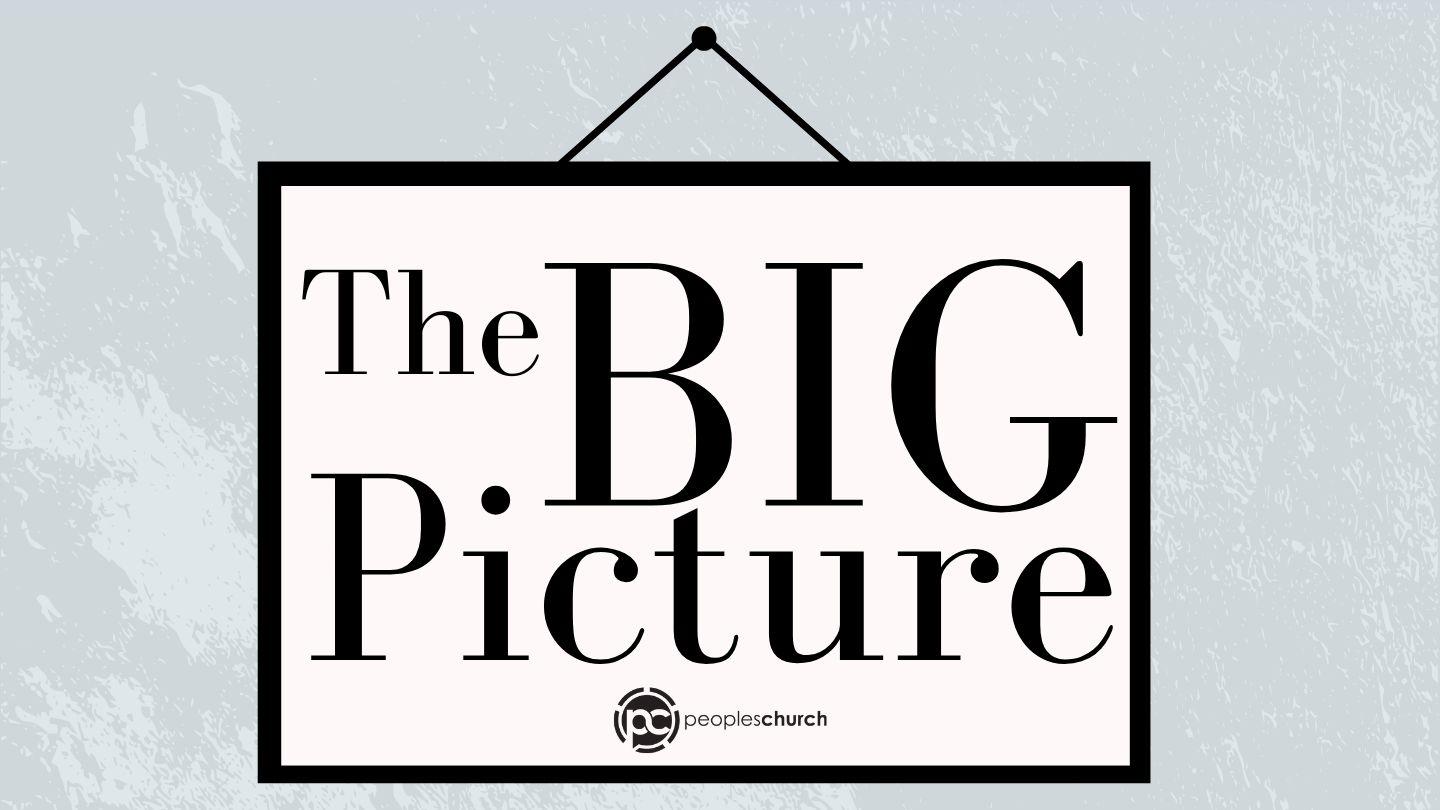 The Big Picture