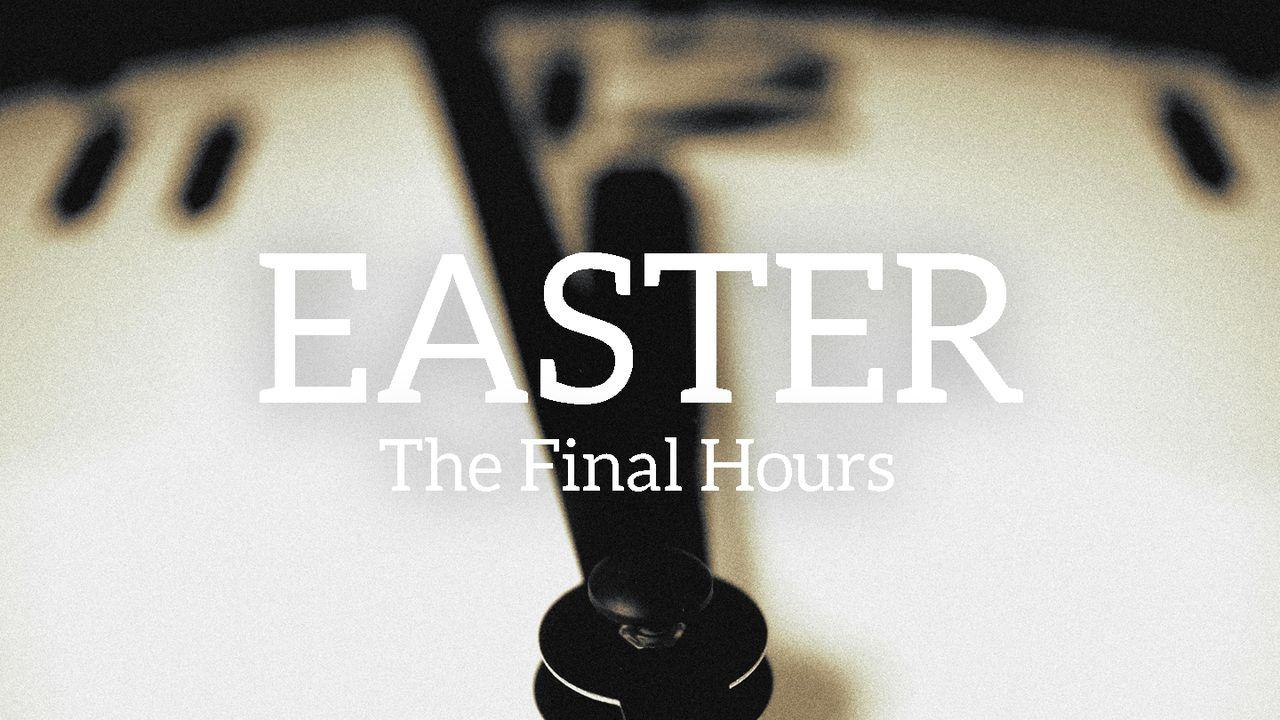 Easter – the Final Hours